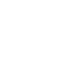 AXO Partner Logo