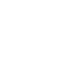 AXO Partner Logo